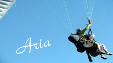 Aria