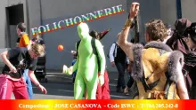 FOLICHONNERIE