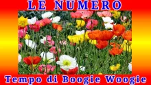 LE NUMERO